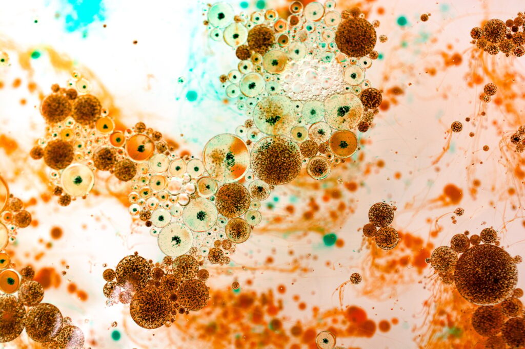 Microscopic closeup of bacteria and microbes
